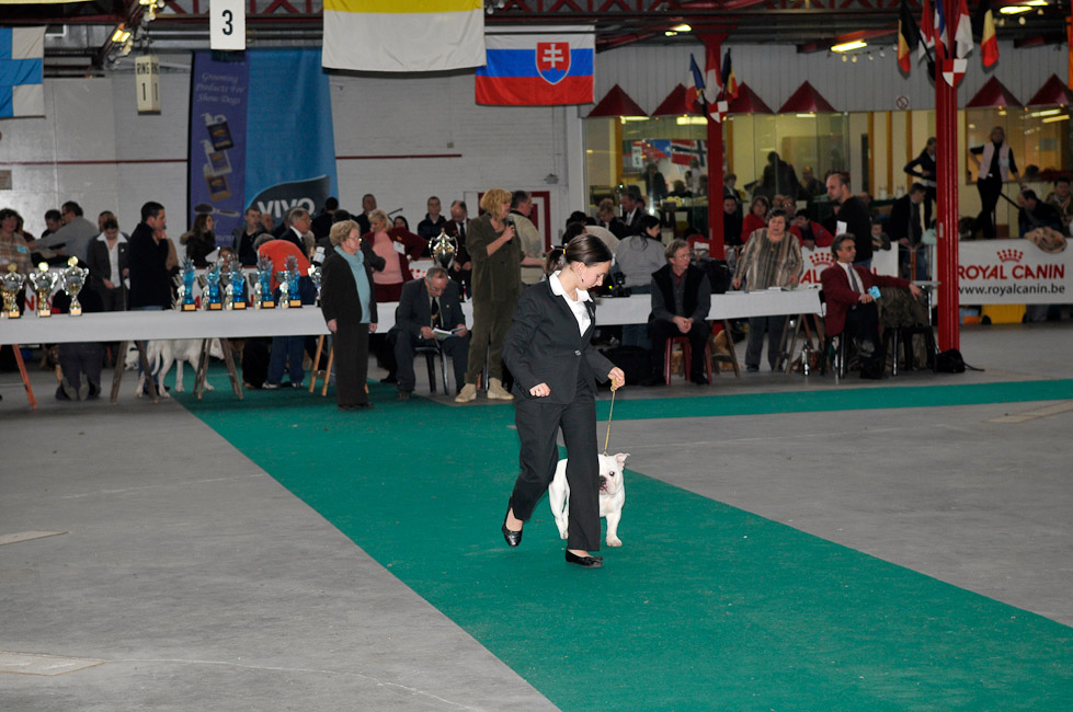 gal/Expo_janvier_2009/photos UCM 2009 001.jpg